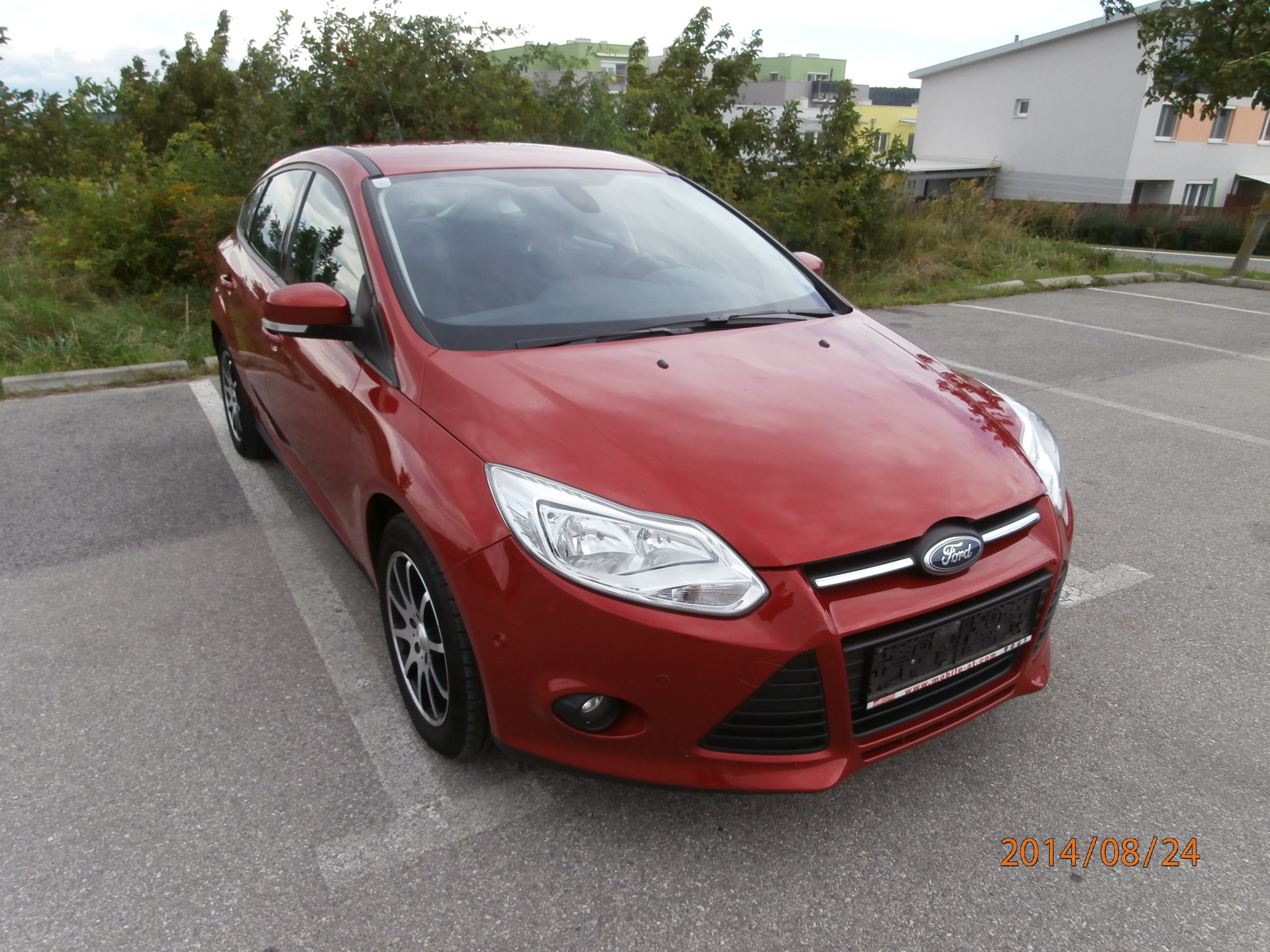 Ford Focus - � 11900