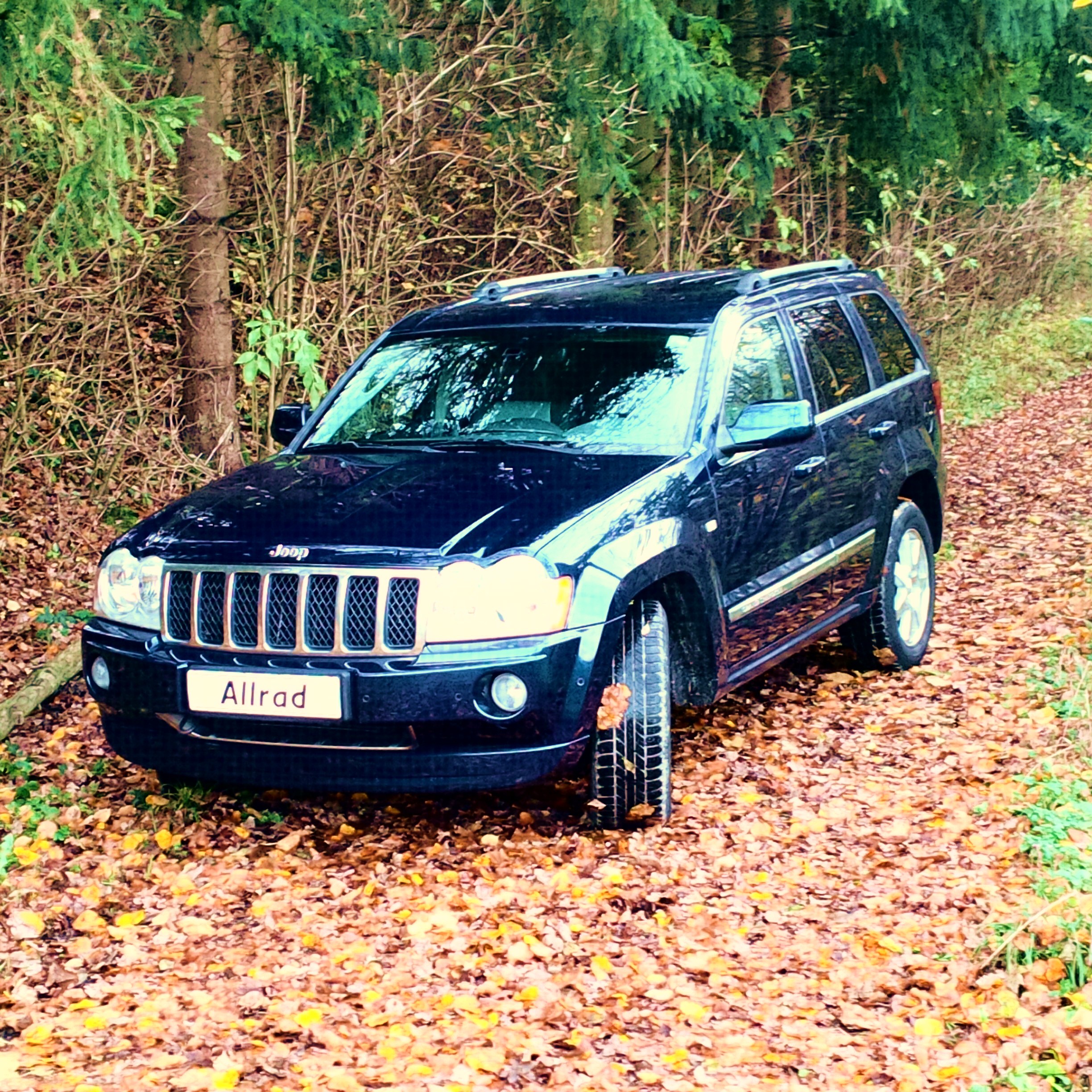 Jeep Grand Cherokee - � 17700